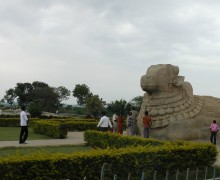 Индия 2011 год